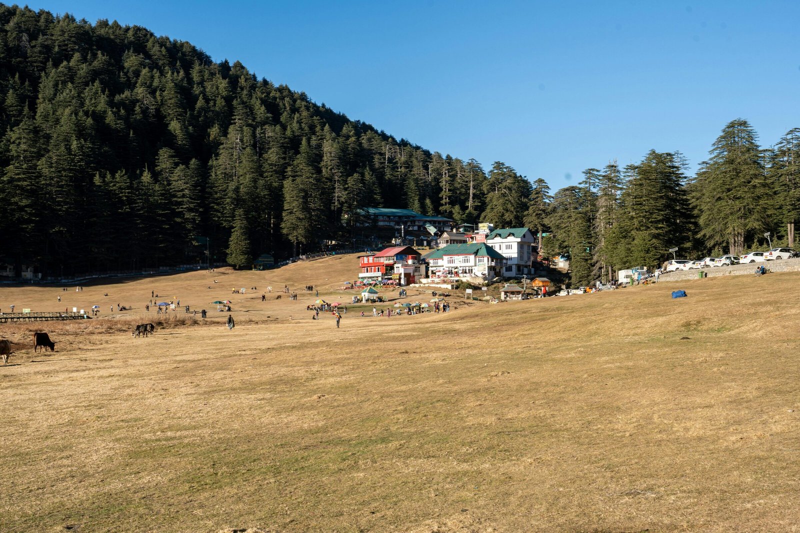 Khajjiar – The Mini Switzerland of India