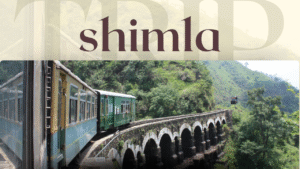 shimla