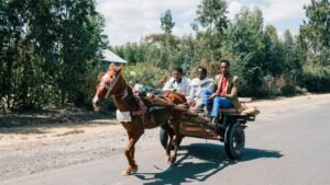 Ethiopia The Cradle of Humanity3