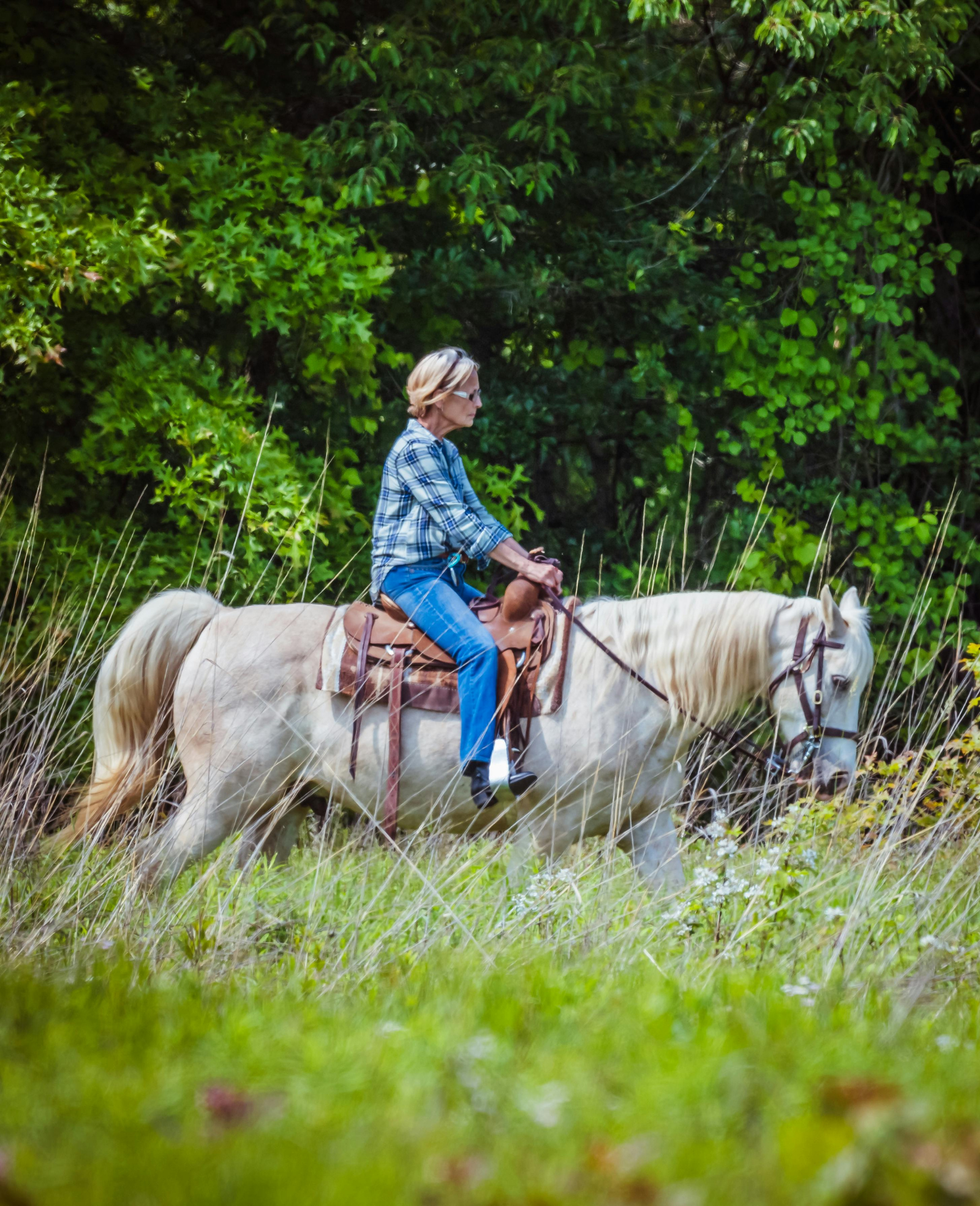 The Hidden Life of the Mennonites